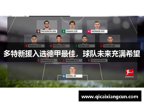 多特新援入选德甲最佳，球队未来充满希望