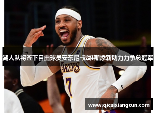 湖人队将签下自由球员安东尼-戴维斯添新助力力争总冠军